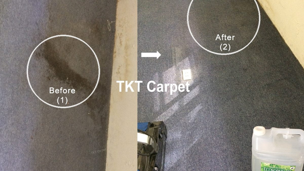 hóa chất giặt thảm công nghệ sinh học Escosophy số 1 Nhật Bản