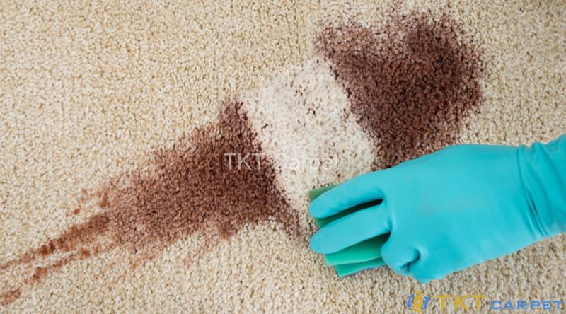 Loại bỏ các vết bẩn trên thảm