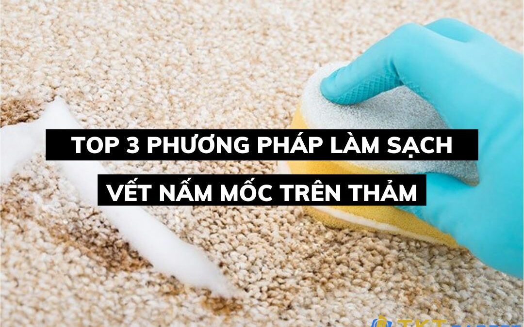 Top 3 phương pháp làm sạch vết nấm mốc trên thảm