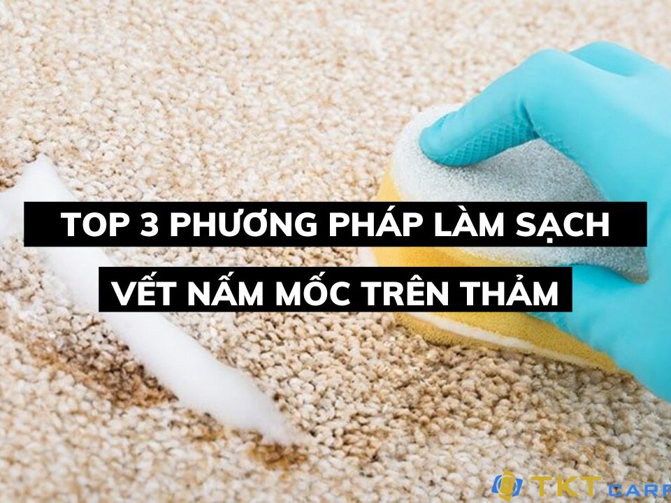 Top 3 phương pháp làm sạch vết nấm mốc trên thảm