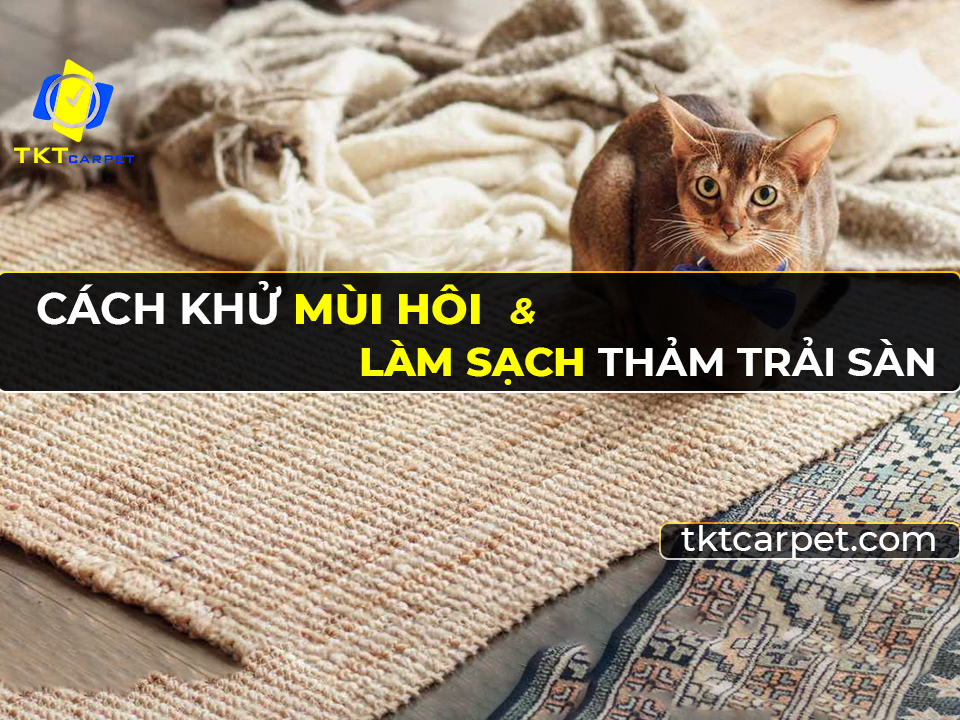 cach khu mui hoi va lam sach tham trai san