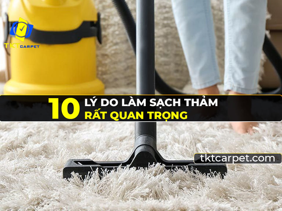 0 lý do làm sạch thảm rất quan trọng