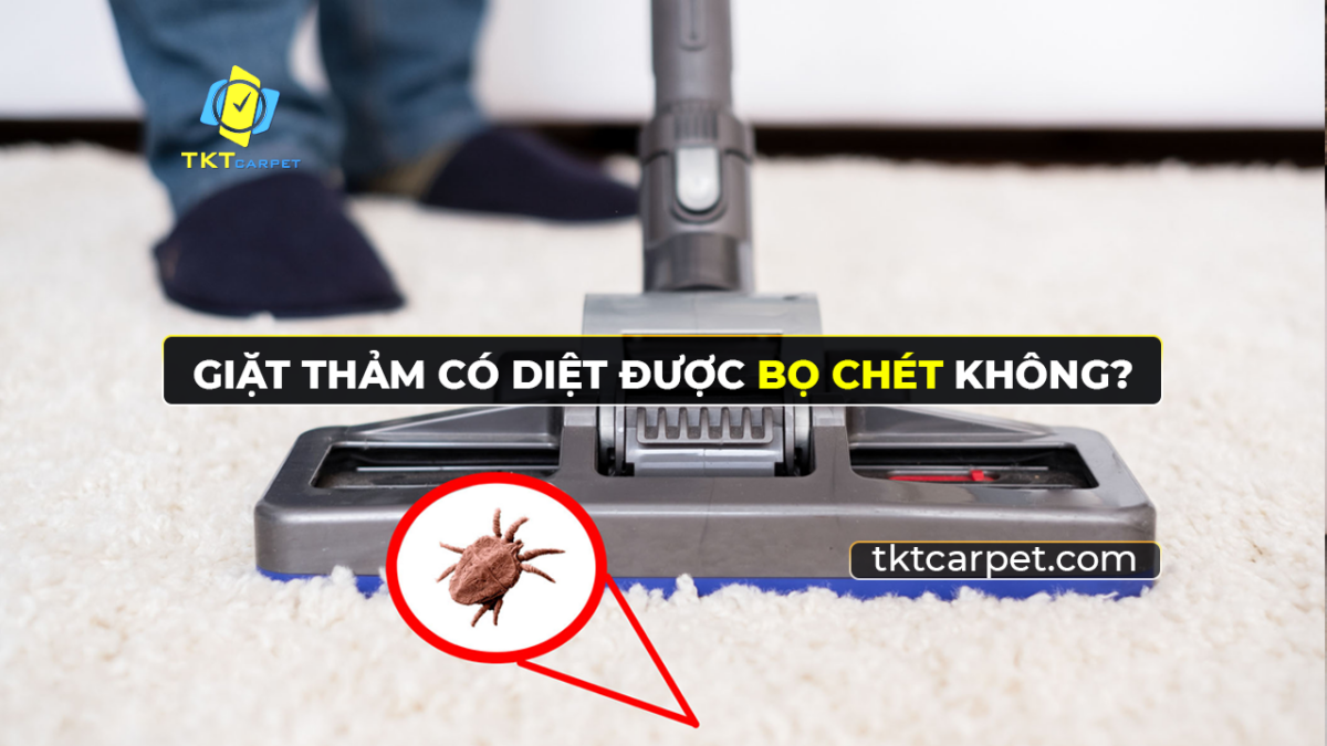 cach diet bo chet tren tham nhanh hieu qua