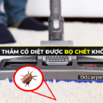 cach diet bo chet tren tham nhanh hieu qua