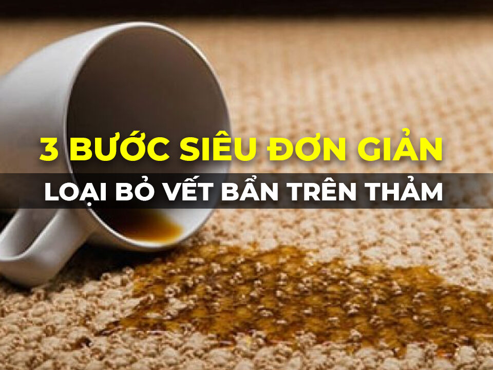 Cách loại bỏ vết bẩn trên thảm trải sàn hiệu quả