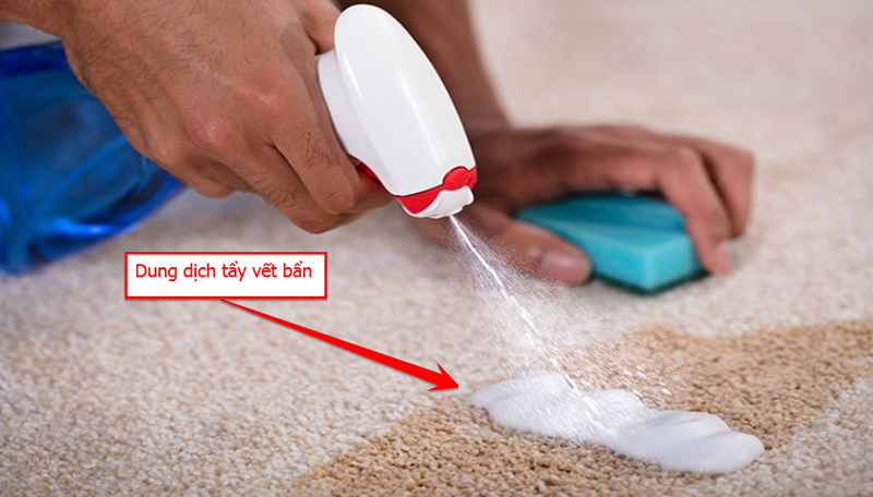 Cách loại bỏ vết bẩn trên thảm
