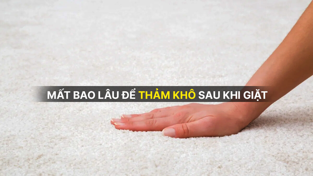 Mất bao lâu để thảm khô sau khi giặt