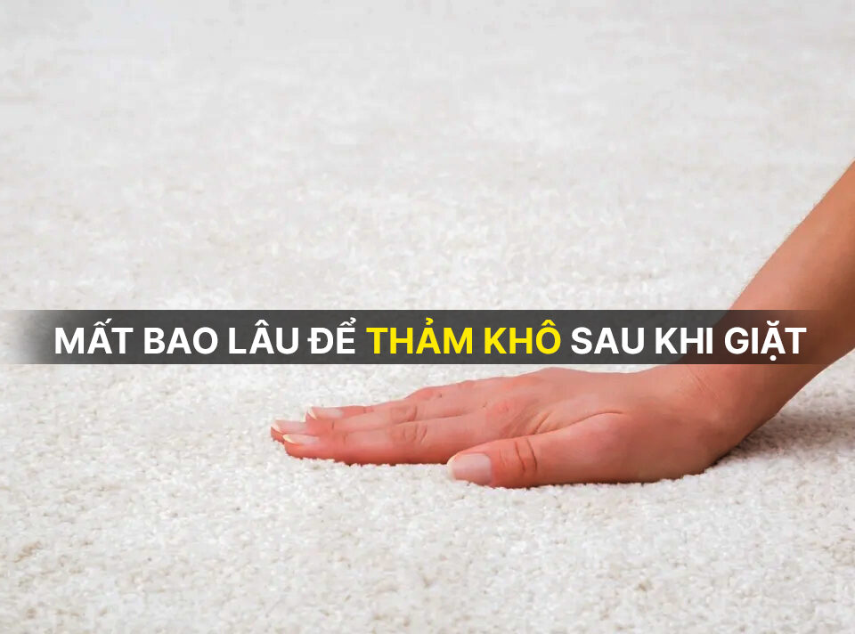 Mất bao lâu để thảm khô sau khi giặt