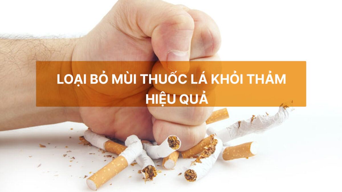 Cách khử mùi thuốc lá trên thảm cỏ, yoga...