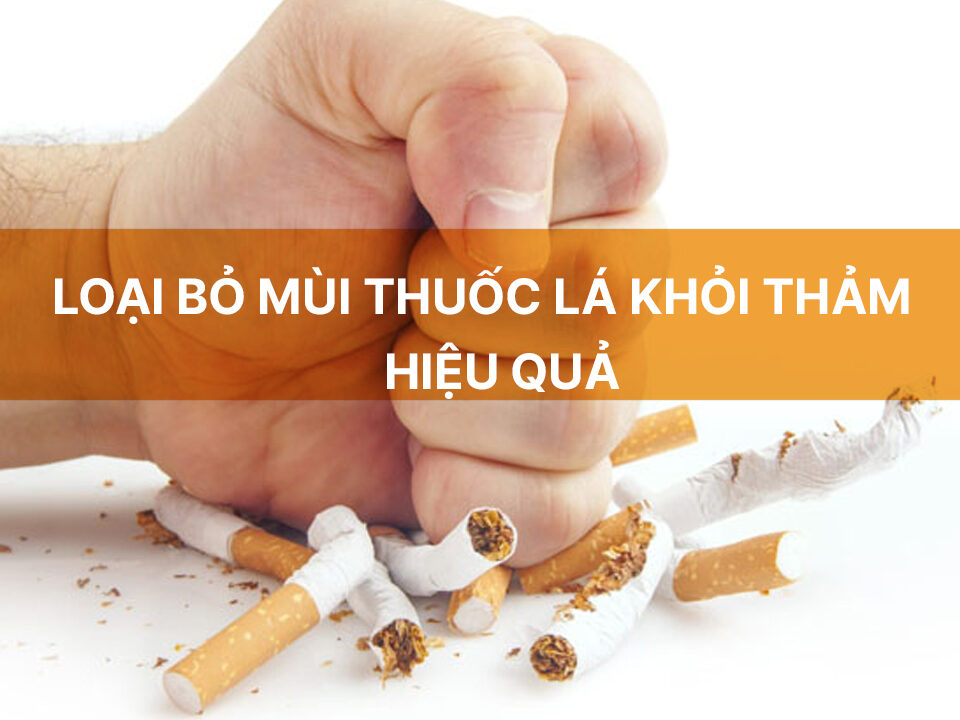 Cách khử mùi thuốc lá trên thảm cỏ, yoga...