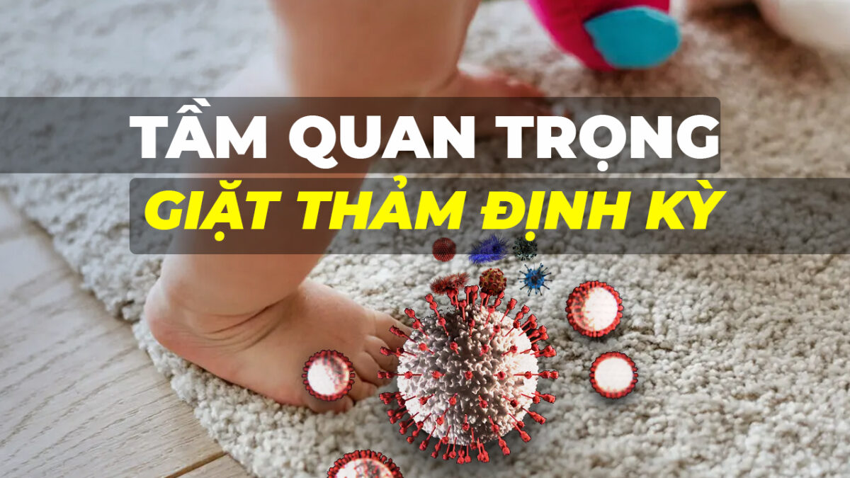 Tại sao cần phải giặt thảm định kỳ