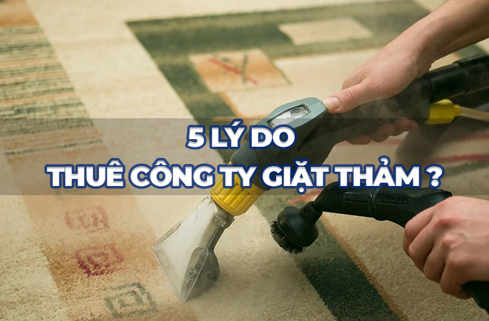 5 lý do thuê công ty giặt thảm