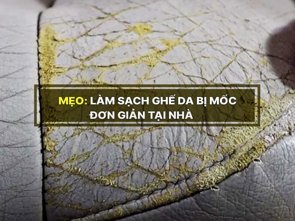 Mẹo làm sạch ghế da bị mốc đơn giản tại nhà