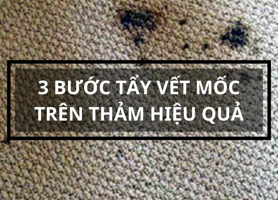3-buoc-tay-vet-moc-tren-tham-hieu-qua