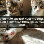 chon-tham-cho-nha-nuoi-thu-cung