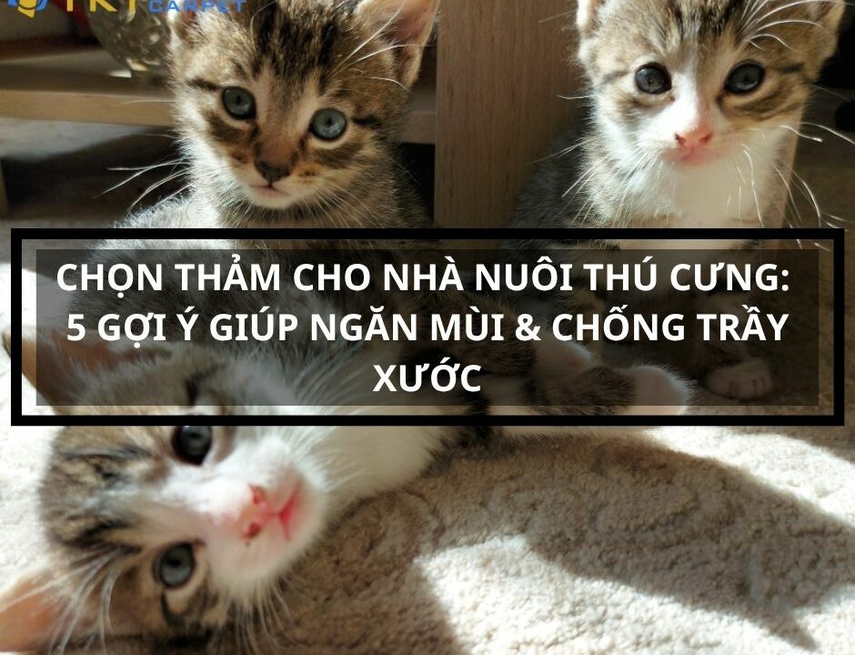 Lam-sao-de-chon-tham-cho-nha-nuoi-thu-cung